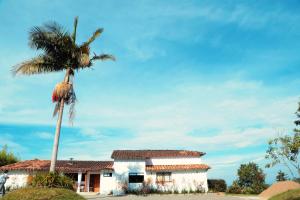 
a palm tree in front of a house at TEVA Glamping & Retreat in Rionegro
