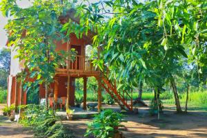 Giardino di Sigiriya Free View Tree House & Villa