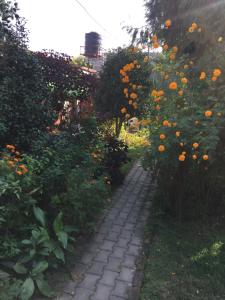 Un jardín fuera de Gurkha Lodge