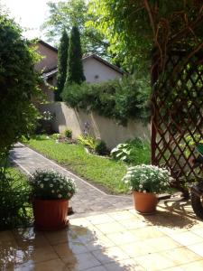 Zahrada ubytování Lux Apartman Villa