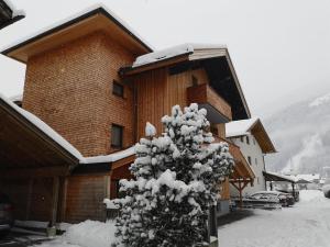Apartment Rauch during the winter