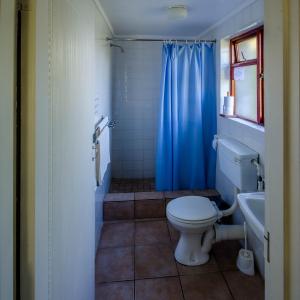 a bathroom with a toilet and a blue shower curtain at The Volmoed Trust in Hermanus