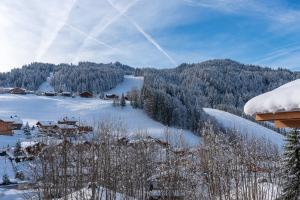 Apartment Rouge Gorge im Winter