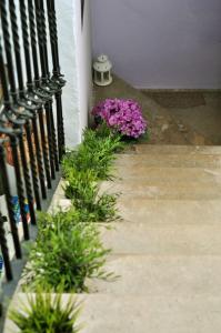 a group of plants on the side of a building with flowers at `PRECIOSA CASA ANDALUZA CON VISTAS in San Roque