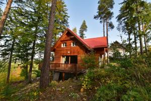 a log cabin in the woods with a deck at Leśny Domek koło Karpacza - Apartamentuj in Karpacz