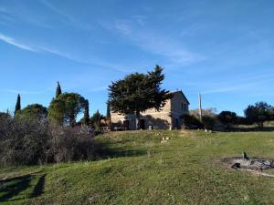 a house on top of a hill with a field at Agriturismo La Colombera in Toscana in Roccalbegna