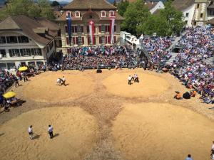 Hosté ubytování Partner Hotel AG Zofingen