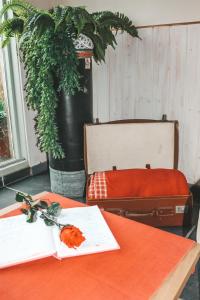 Posezení v ubytování Hoeve Westdijk