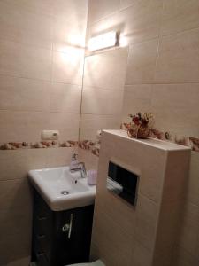 La salle de bains est pourvue d'un lavabo et d'un miroir. dans l'établissement u Gosi, à Krynica-Zdrój