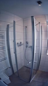 a bathroom with a shower with a glass door at Bernsteininsel in Thiessow