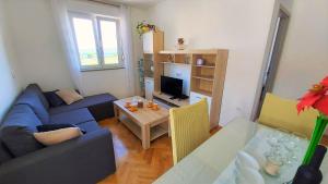 Televízia a/alebo spoločenská miestnosť v ubytovaní Apartment Ribnjak 10