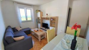 Televízia a/alebo spoločenská miestnosť v ubytovaní Apartment Ribnjak 10