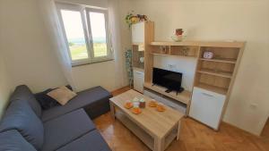 Televízia a/alebo spoločenská miestnosť v ubytovaní Apartment Ribnjak 10