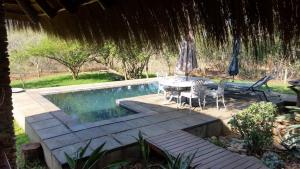 La alberca dentro o cerca de Call of the Wild Lodge