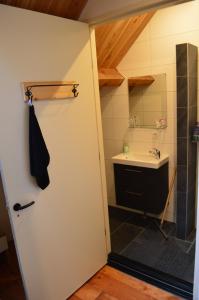 a bathroom with a sink, toilet and shower stall at B&B de Bievangh in Breda