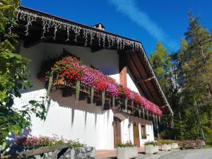 Zahrada ubytování Hotel il Cardo