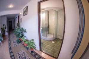 Koupelna v ubytování Pensiunea Dalia Voineasa + 49 fotografií