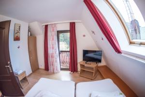 TV a/nebo společenská místnost v ubytování Pensiunea Dalia Voineasa