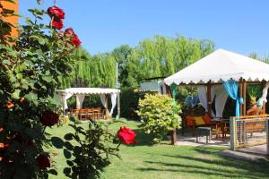 un jardín con cenador, sillas y rosas en Cabañas El Naranjo en San Rafael