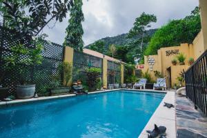 a swimming pool with two dogs in the middle at The Valley Oasis Inn in Saint Joseph