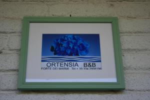 Fotografie z fotogalerie ubytování B&B Ortensia v destinaci Forte dei Marmi