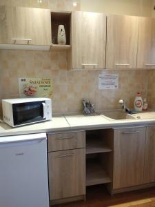 a kitchen with a microwave and a sink at Biały Słoń in Gdynia