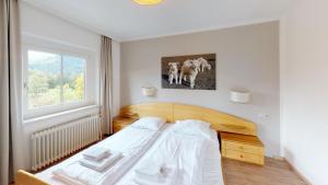 Gallery image of Haus Edelweiss am See in Zell am See