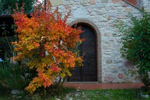 Zahrada ubytování Antico Borghetto - Casa Vacanze