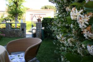 Zahrada ubytování B&B Ortensia