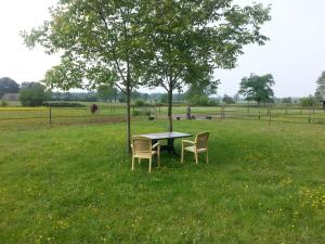 einen Tisch und Stühle unter einem Baum auf einem Feld in der Unterkunft Bakhuisje in Emst