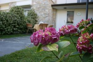 Zahrada ubytování B&B Ortensia