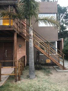 una palmera frente a un edificio con escaleras en La Casita del Mar en Ostende