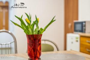 Kuchyňa alebo kuchynka v ubytovaní J&J Apartments, Łazienna 30 Apartament 8/1