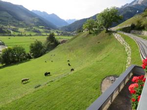 Gallery image of Beim Untertimmeltaler in Matrei in Osttirol