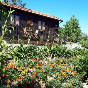 Afbeelding uit fotogalerij van Casinha do Cedro in Baião