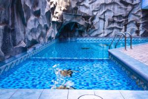 a swimming pool with a duck in the water at Hotel Tapachula in Tapachula