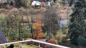 a view from the balcony of a house with autumn trees at FeWo Stryck Idyllika in Willingen