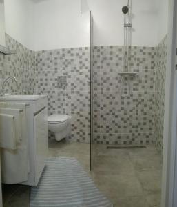 a bathroom with a shower with a toilet and a sink at Trevim in Lousã