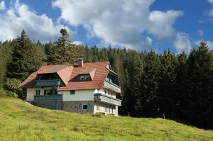 a house with a red roof on a hill at Apartma Borovnica Rogla in Vitanje