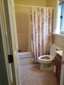 a bathroom with a toilet and a shower curtain at Hawk Mountain Bed & Breakfast in Kempton