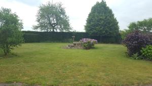 a park with a bench in the middle of a field at De Ketse Steenuil in Kaatsheuvel +31 photos