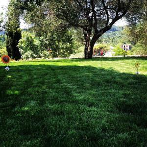 ein Feld mit grünem Gras und einem Baum im Hintergrund in der Unterkunft Modern eco friendly villa close to town in Pelekas
