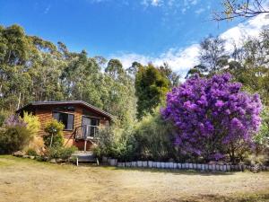 Gallery image of Southern Forest Accommodation in Southport