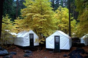 two white tents in a forest with trees at Curry Village in Curry Village