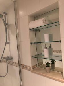 a bathroom with a shower and glass shelves at 1 Bedroom Flat in Sheffield City Centre-Sleeps 4 in Sheffield