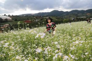 kobieta stojąca na polu białych kwiatów w obiekcie My Anh Guest House w mieście Da Lat