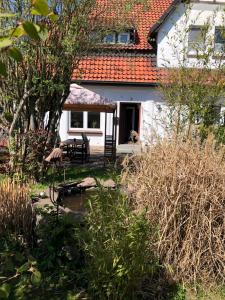 a white house with a dog in front of it at Sieben-Berge-Ferienwohnungen in Alfeld