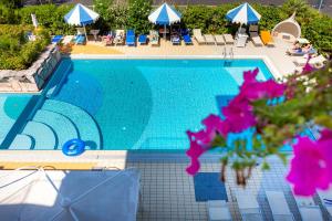 Bazén v ubytování Hotel Harry's nebo v jeho okolí