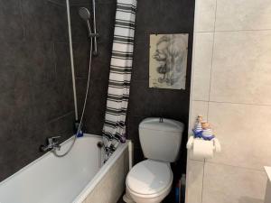a small bathroom with a toilet and a shower at Maya 804 in Nieuwpoort