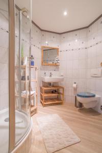 W łazience znajduje się prysznic, toaleta i umywalka. w obiekcie Wohnung Waldkauz im Haus Seeadler w Zinnowitz